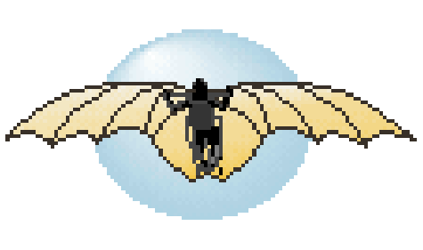Flight