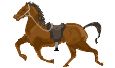 Horseback Riding
