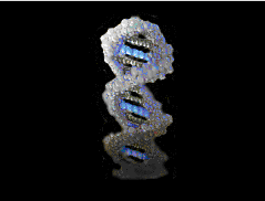 Genetic Engineering