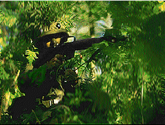 Guerrilla Warfare