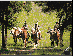 Horseback Riding