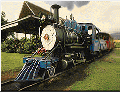 Steam Engine
