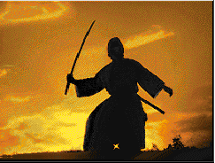 Warrior Code