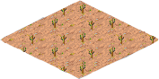 Desert