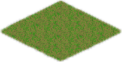Grassland