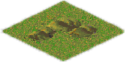 Hills