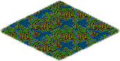Swamp