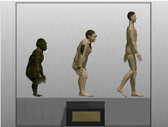 Darwin's Voyage