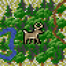 Boreal forest