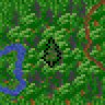 Conifer forest