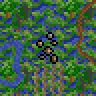 Swamp