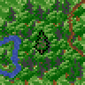 Tropical forest