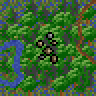 Wetland forest
